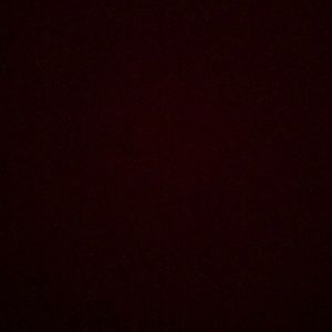 Meet your Posher, Anahi